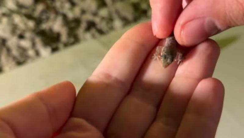 Oana Monea de la Insula Iubirii și-a sărbătorit ziua de naștere în vacanță alături de iubitul ei. Ce destinație au ales