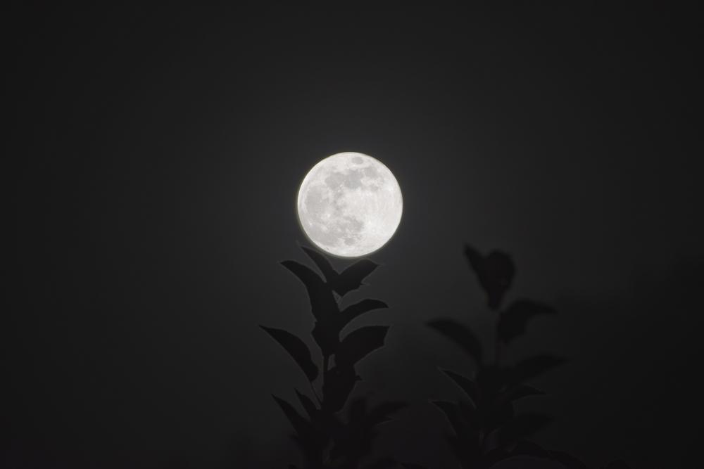 Ce este Beaver Supermoon, când se poate vedea în noiembrie și cum afectează fiecare zodie în parte