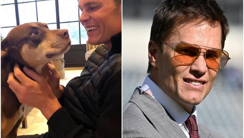 Colaj cu Tom Brady și câinele Lua, pe care l-a clonat
