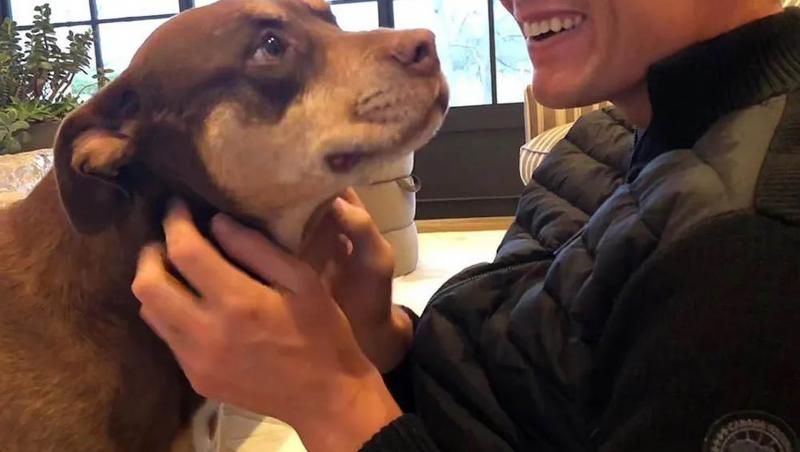 Tom Brady și cățelul Lua