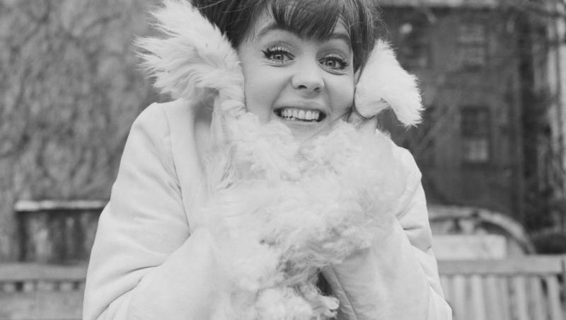 Actrița Pauline Collins, nominalizată la Oscar, a încetat din viață. Starul din Shirley Valentine avea 85 de ani