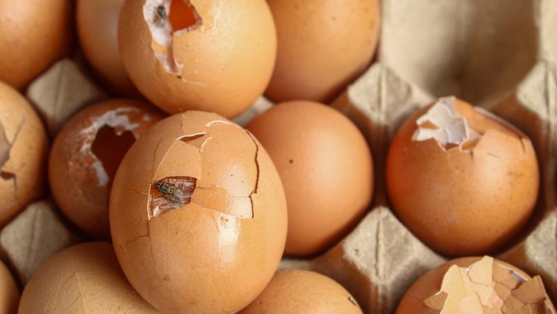 O practică riscantă a luat amploare pe platformele de socializare. Cât de periculoasă este ”dieta” pentru sănătate | VIDEO