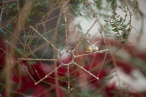 Creaturile care se ascund în bradul de Crăciun. Cum poți scăpa de ele înainte să-ți intre în casă