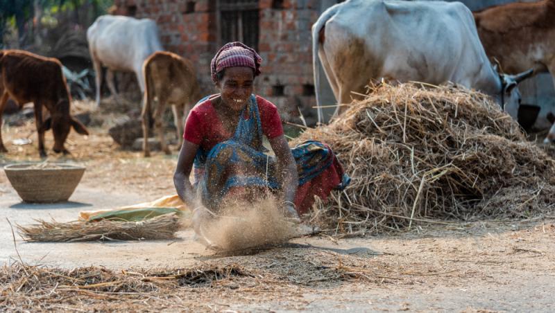 Treburile casnice prestate de femei sunt plătite de stat. Ce țară a adoptat acest sistem
