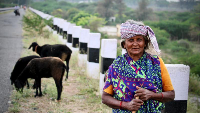 Treburile casnice prestate de femei sunt plătite de stat. Ce țară a adoptat acest sistem