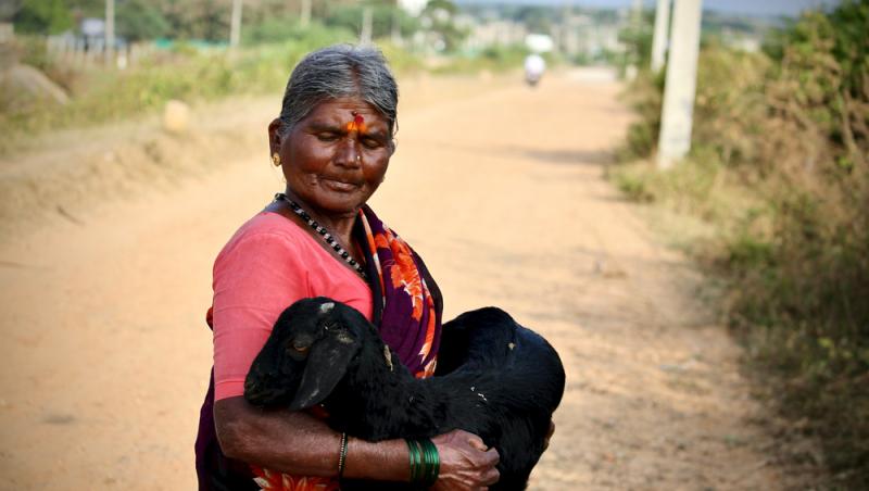 Treburile casnice prestate de femei sunt plătite de stat. Ce țară a adoptat acest sistem