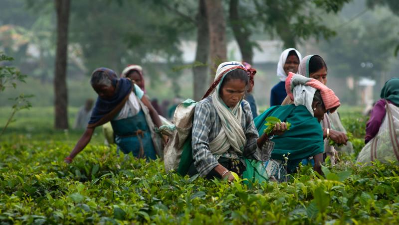 Treburile casnice prestate de femei sunt plătite de stat. Ce țară a adoptat acest sistem