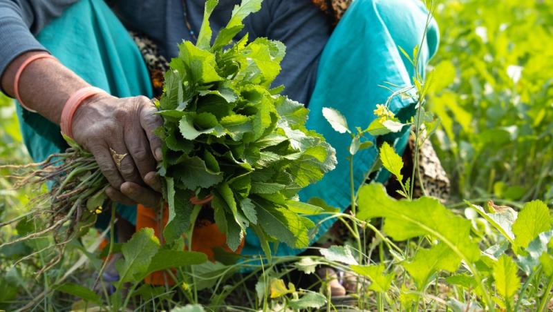 Treburile casnice prestate de femei sunt plătite de stat. Ce țară a adoptat acest sistem