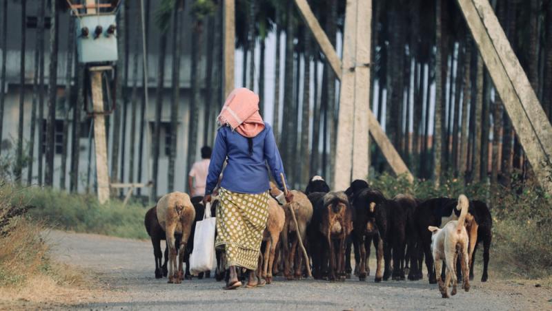 Treburile casnice prestate de femei sunt plătite de stat. Ce țară a adoptat acest sistem