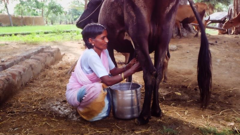 Treburile casnice prestate de femei sunt plătite de stat. Ce țară a adoptat acest sistem