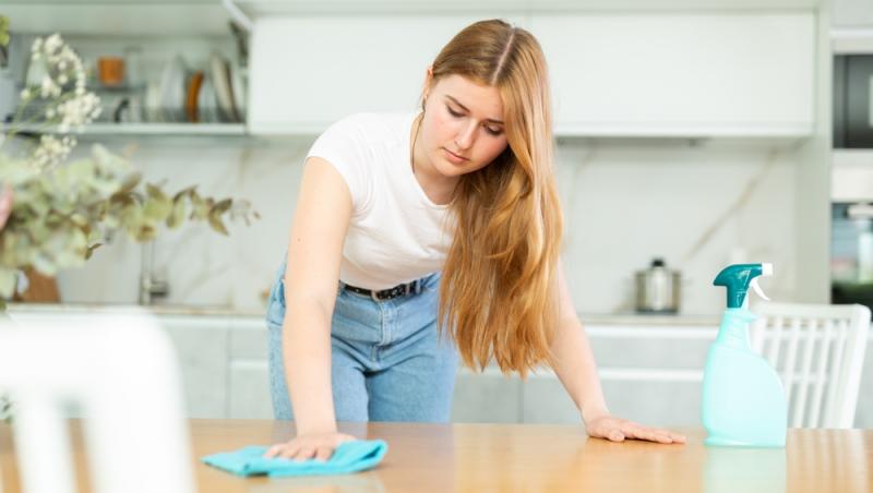 Treburile casnice prestate de femei sunt plătite de stat. Ce țară a adoptat acest sistem