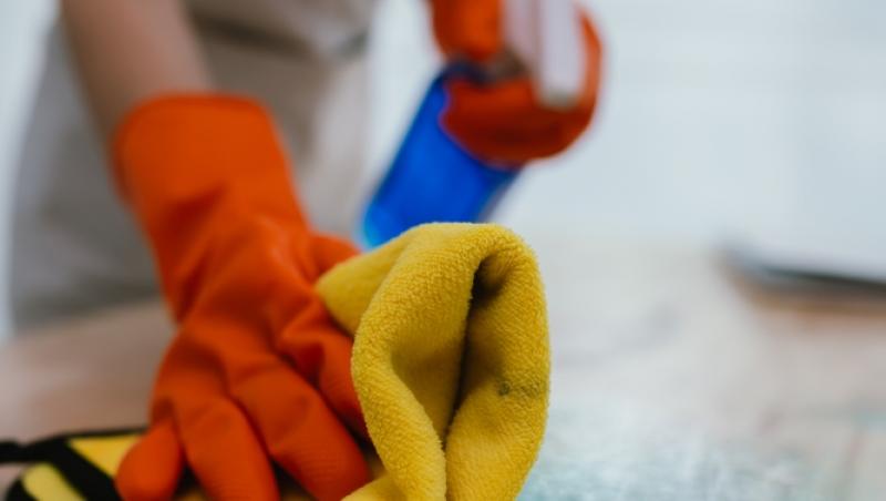 Treburile casnice prestate de femei sunt plătite de stat. Ce țară a adoptat acest sistem