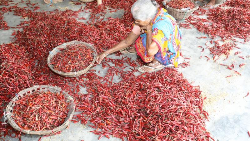 Treburile casnice prestate de femei sunt plătite de stat. Ce țară a adoptat acest sistem