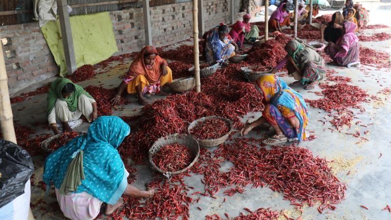 Treburile casnice prestate de femei sunt plătite de stat. Ce țară a adoptat acest sistem