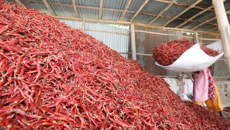 Treburile casnice prestate de femei sunt plătite de stat. Ce țară a adoptat acest sistem