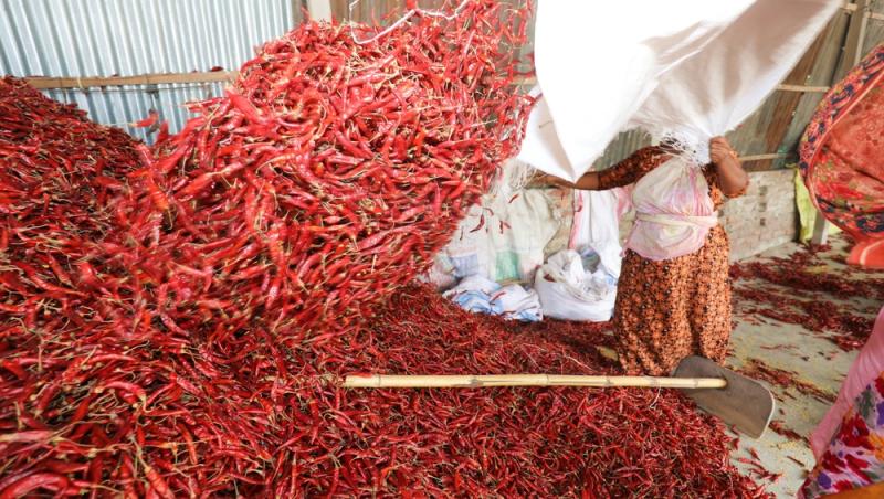 Treburile casnice prestate de femei sunt plătite de stat. Ce țară a adoptat acest sistem