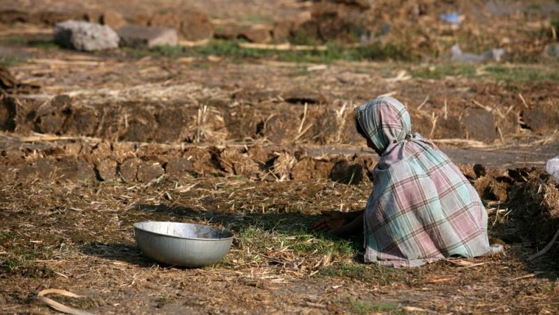 Treburile casnice prestate de femei sunt plătite de stat. Ce țară a adoptat acest sistem