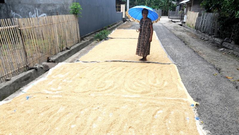 Treburile casnice prestate de femei sunt plătite de stat. Ce țară a adoptat acest sistem