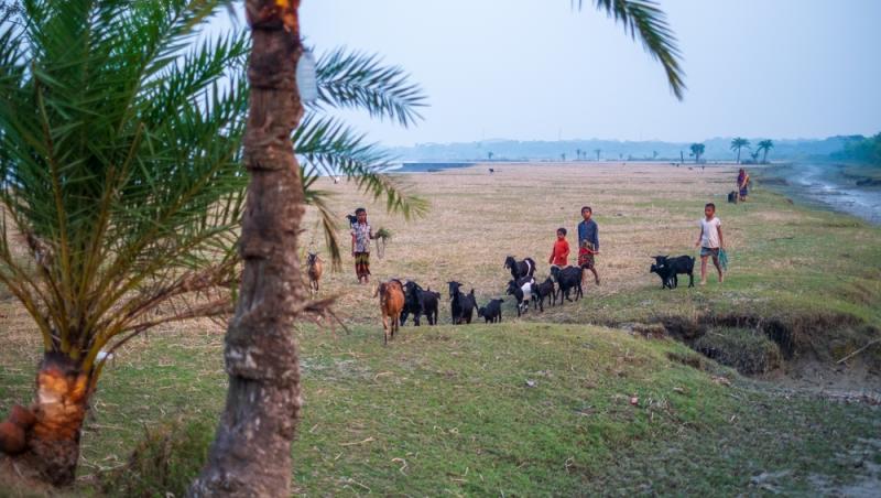 Treburile casnice prestate de femei sunt plătite de stat. Ce țară a adoptat acest sistem