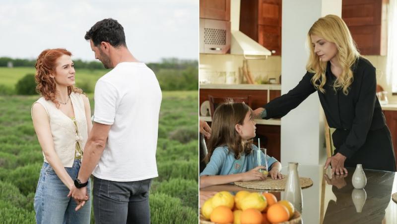 colaj anda și ștefan în câmpul de lavandă, călin și teo