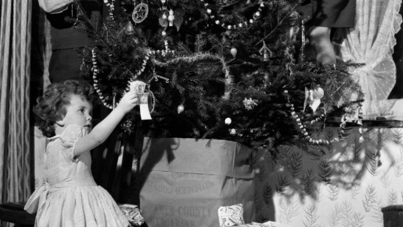 Maeștrii Feng Shui, despre influența culorilor în energia casei. În ce nuanțe să împodobești bradul în 2025 pentru prosperitate