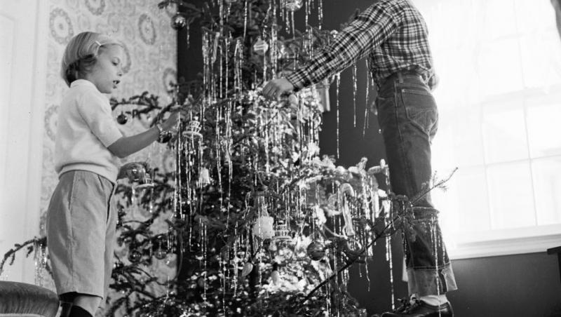 Maeștrii Feng Shui, despre influența culorilor în energia casei. În ce nuanțe să împodobești bradul în 2025 pentru prosperitate