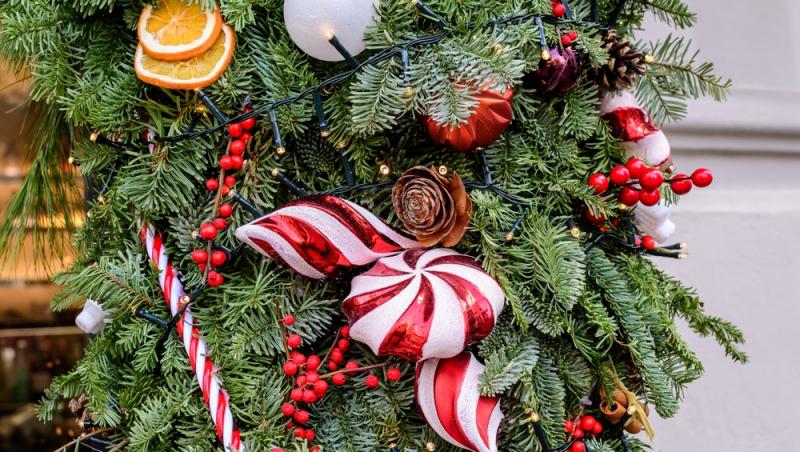 Maeștrii Feng Shui, despre influența culorilor în energia casei. În ce nuanțe să împodobești bradul în 2025 pentru prosperitate