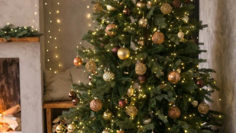 Maeștrii Feng Shui, despre influența culorilor în energia casei. În ce nuanțe să împodobești bradul în 2025 pentru prosperitate