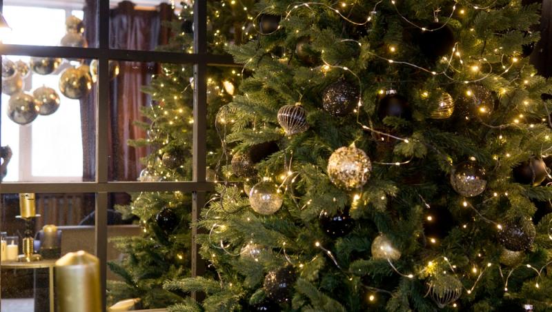 Maeștrii Feng Shui, despre influența culorilor în energia casei. În ce nuanțe să împodobești bradul în 2025 pentru prosperitate