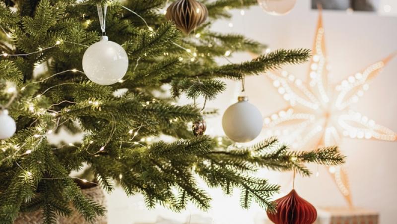 Maeștrii Feng Shui, despre influența culorilor în energia casei. În ce nuanțe să împodobești bradul în 2025 pentru prosperitate