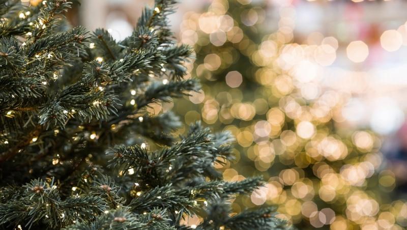 Maeștrii Feng Shui, despre influența culorilor în energia casei. În ce nuanțe să împodobești bradul în 2025 pentru prosperitate