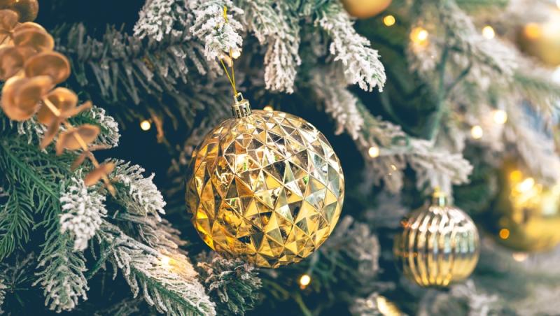 Maeștrii Feng Shui, despre influența culorilor în energia casei. În ce nuanțe să împodobești bradul în 2025 pentru prosperitate