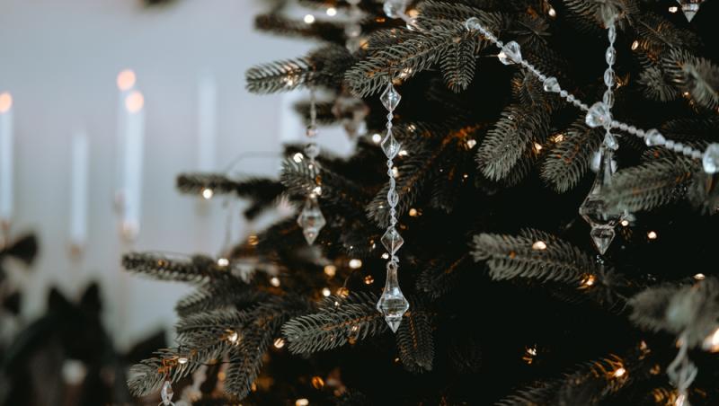 Maeștrii Feng Shui, despre influența culorilor în energia casei. În ce nuanțe să împodobești bradul în 2025 pentru prosperitate