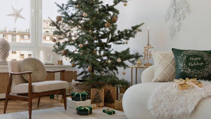 Maeștrii Feng Shui, despre influența culorilor în energia casei. În ce nuanțe să împodobești bradul în 2025 pentru prosperitate