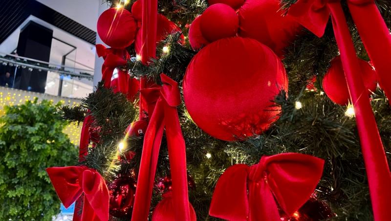 Maeștrii Feng Shui, despre influența culorilor în energia casei. În ce nuanțe să împodobești bradul în 2025 pentru prosperitate