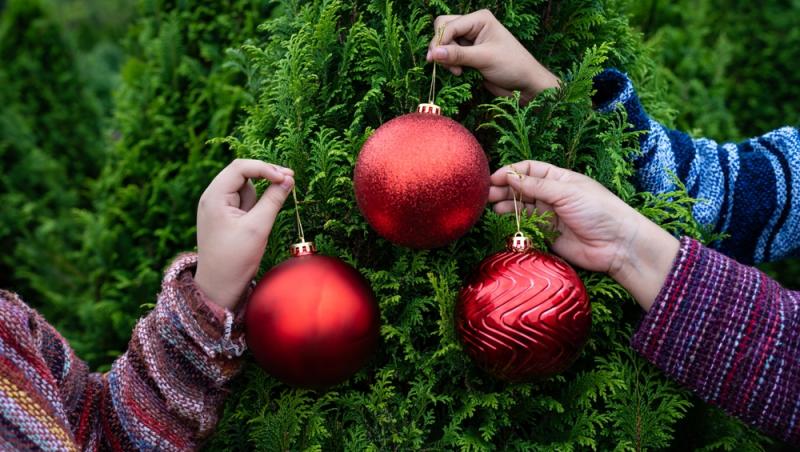 Maeștrii Feng Shui, despre influența culorilor în energia casei. În ce nuanțe să împodobești bradul în 2025 pentru prosperitate
