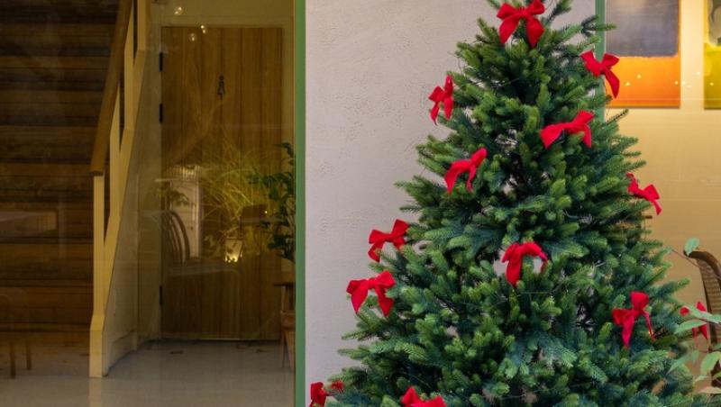Maeștrii Feng Shui, despre influența culorilor în energia casei. În ce nuanțe să împodobești bradul în 2025 pentru prosperitate