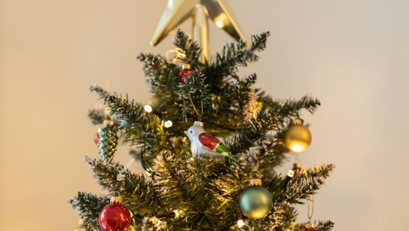 Maeștrii Feng Shui, despre influența culorilor în energia casei. În ce nuanțe să împodobești bradul în 2025 pentru prosperitate