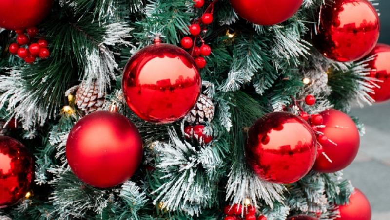 Maeștrii Feng Shui, despre influența culorilor în energia casei. În ce nuanțe să împodobești bradul în 2025 pentru prosperitate