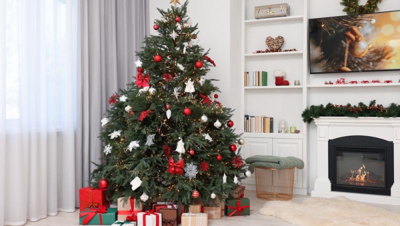 Maeștrii Feng Shui, despre influența culorilor în energia casei. În ce nuanțe să împodobești bradul în 2025 pentru prosperitate