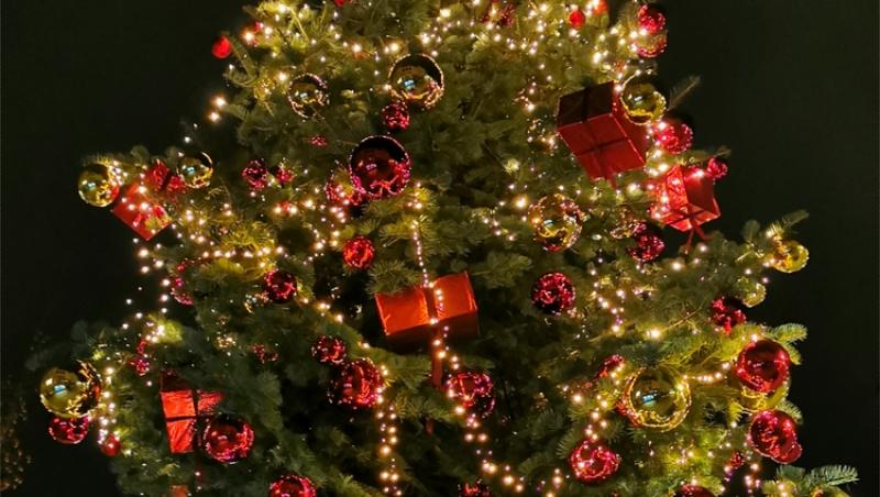 Maeștrii Feng Shui, despre influența culorilor în energia casei. În ce nuanțe să împodobești bradul în 2025 pentru prosperitate