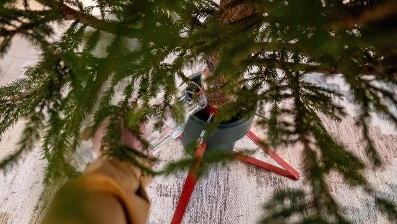 Maeștrii Feng Shui, despre influența culorilor în energia casei. În ce nuanțe să împodobești bradul în 2025 pentru prosperitate