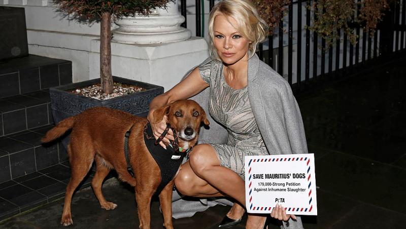 Pamela Anderson dorește să-și schimbe numele celebru. Motivul sentimental din spatele deciziei