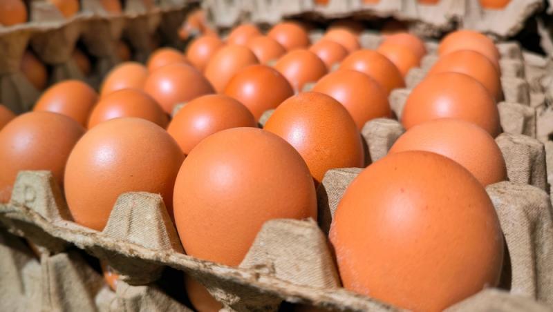 Prețul unui cofraj de ouă îi nemulțumește pe români. De ce s-au scumpit atât de mult în ultima perioadă