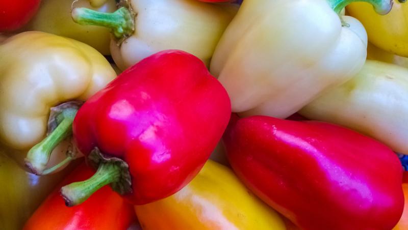 Ardeiul gras, unul dintre cele mai nutritive legume din familia Solanaceelor. Cât de periculoasă este această familie de plante