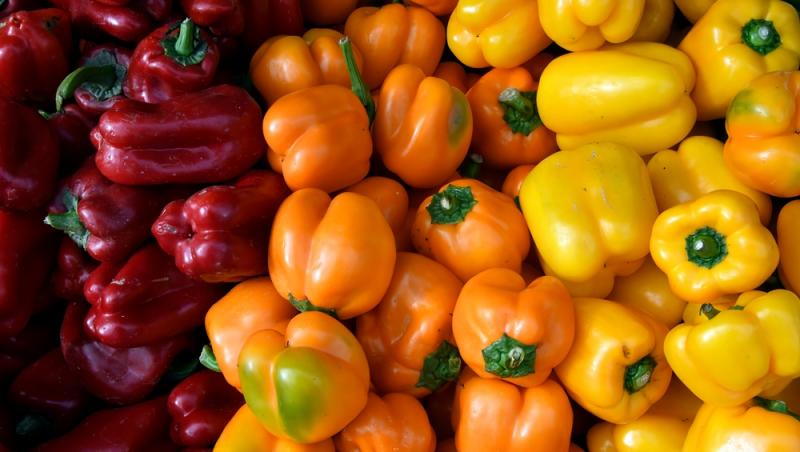 Ardeiul gras, unul dintre cele mai nutritive legume din familia Solanaceelor. Cât de periculoasă este această familie de plante