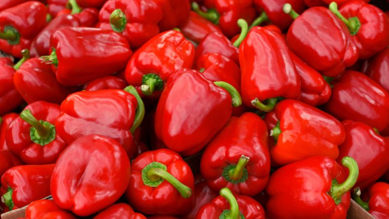 Ardeiul gras, unul dintre cele mai nutritive legume din familia Solanaceelor. Cât de periculoasă este această familie de plante