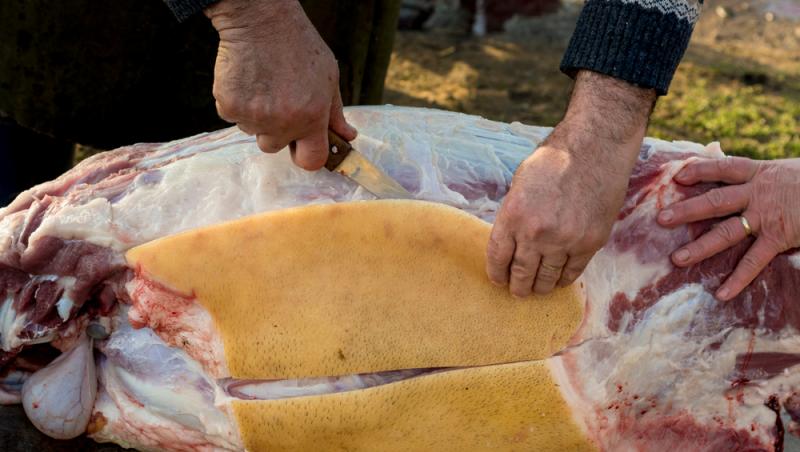 Tradiții și obiceiuri de Ignat 2025. Ce se face și ce trebuie să eviți cu orice preț atunci când se sacrifică porcii de Crăciun