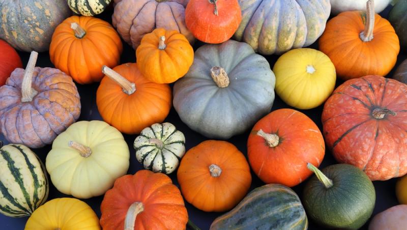 Dovlecii rămași după Halloween, un motiv de îngrijorare. La ce ar putea fi folosiți