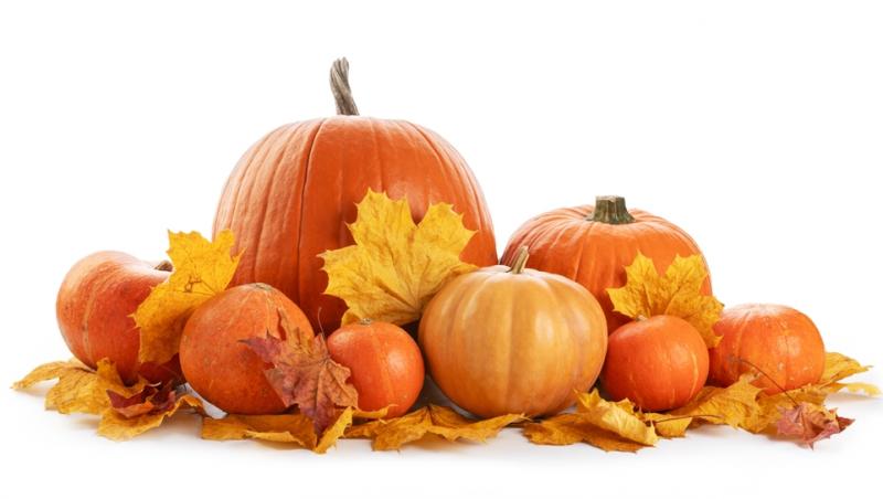 Dovlecii rămași după Halloween, un motiv de îngrijorare. La ce ar putea fi folosiți